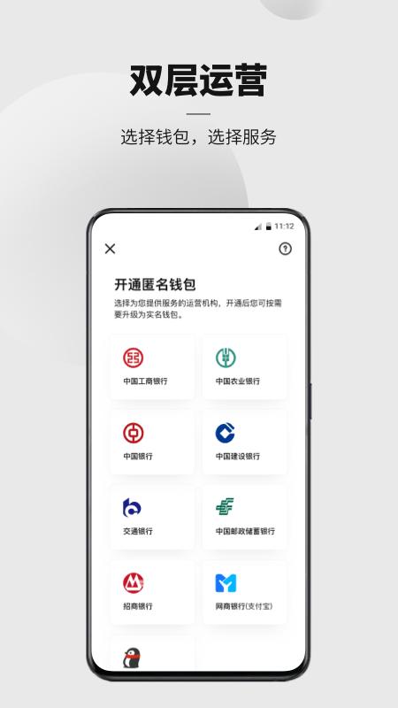数字人民币试点版app下载,数字人民币,钱包app,支付app